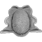 2011 Psalikilopsis small pub
